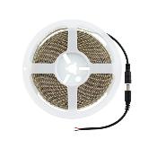 Ruban LED 24V  DC SMD2835 120led/m 5m IP65 Largeur 8mm Coupe tous les 5cm