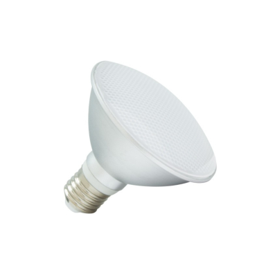 AMPOULE LED E27 PAR30 10W IP65