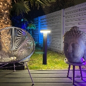 Borne LED Solaire avec Détecteur de Mouvement 80cm 