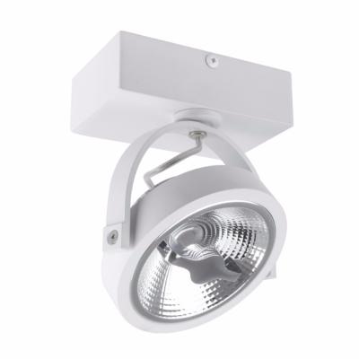 Spot LED Cree en saillie Orientable AR111 15W Dimmable Blanc